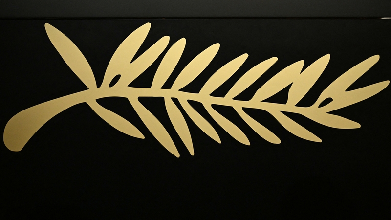 The Cannes Film Festival said it "wishes to express its horror and deep sorrow at this tragedy, which has moved and shocked the entire world"