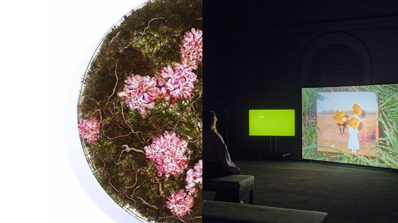 Works by artists Sasha Sykes (L) and Sarah Browne (R)