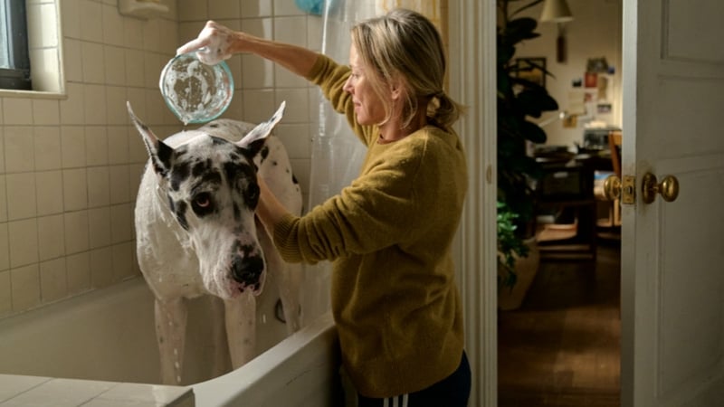 Naomi Watts with her co-star Bing - Having brought out the best in each other, they deserve to bring out the best in you