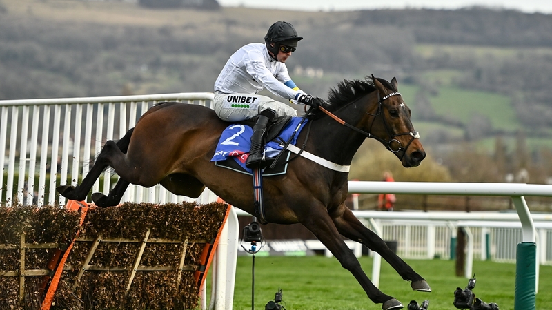 Constitution Hill bids to return to winning ways in the feature on day four at Punchestown