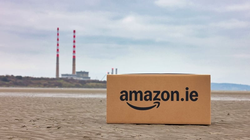With Amazon.ie opening its virtual doors last month, many small Irish businesses are wondering if the king of the jungle is coming to eat their lunch.