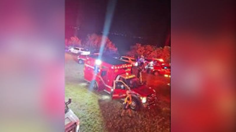 The Clearwater Fire Department declared the crash yesterday evening a 'mass casualty incident' because of the number of people injured (Image: Javier Vazquez)