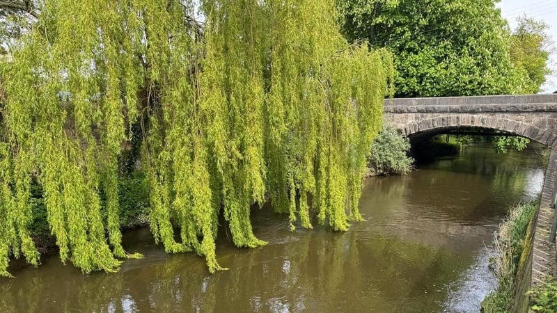 The River Dee in Co Louth runs through one of the areas where Uisce Éireann has detected recurring pesticide levels that are above the legal limit