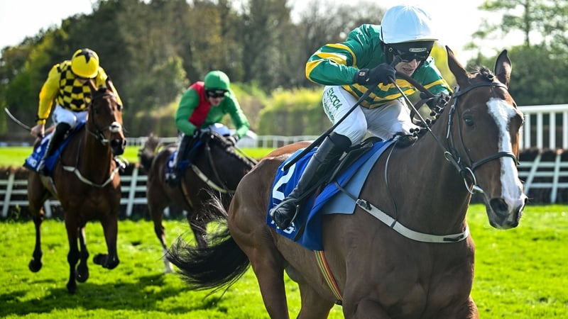Irancy, with Mark Walsh up, on their way to winning the KPMG Champion Novice Hurdle