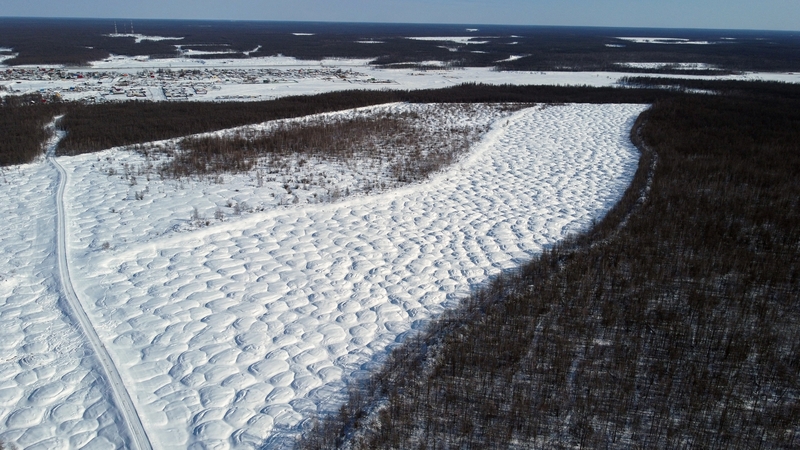The tiny hillocks have an almost regular polygonal shape