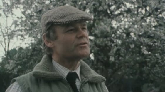 Michael Webb (1980)
