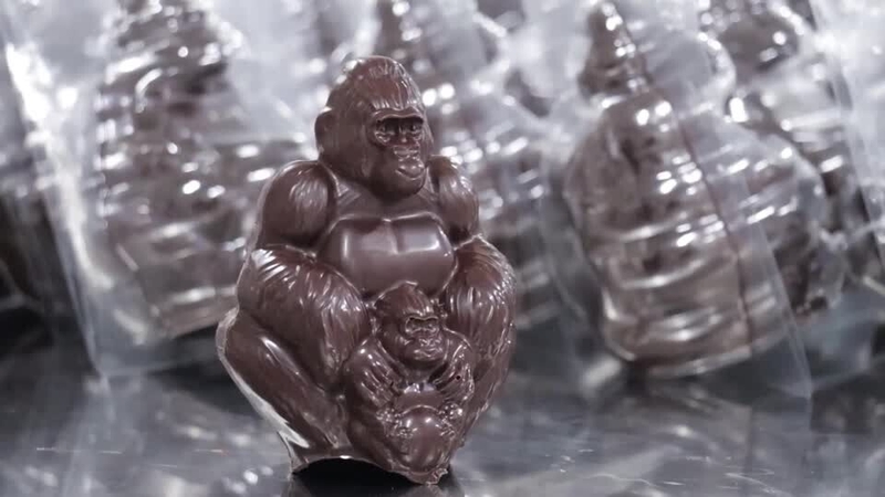 Cocoa for the chocolate gorillas comes from farms created at the periphery of the park