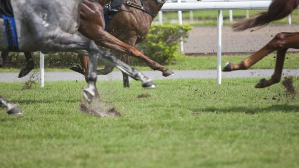 The curtain raiser at the Punchestown Races is the PKRF Charity Race (Stock image)