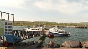 Roibeard Ó Brosnacháin, Comhairleoir Contae, Ciarraí.   show image