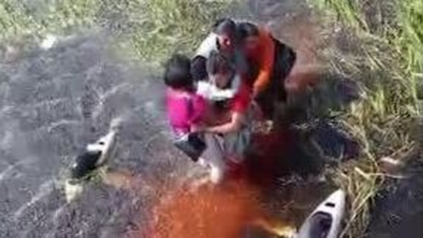 The five survived for more than 36 hours in alligator-infested waters after their plane crashed