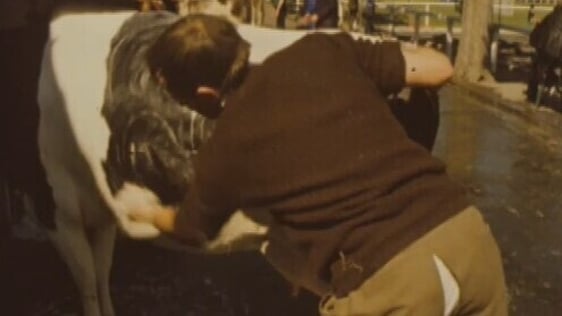 Spring Show at the RDS, 1975