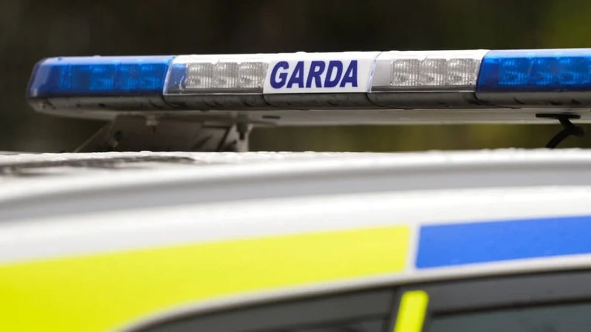 A woman is in a critical condition following a suspected arson attack on a house in Dublin 