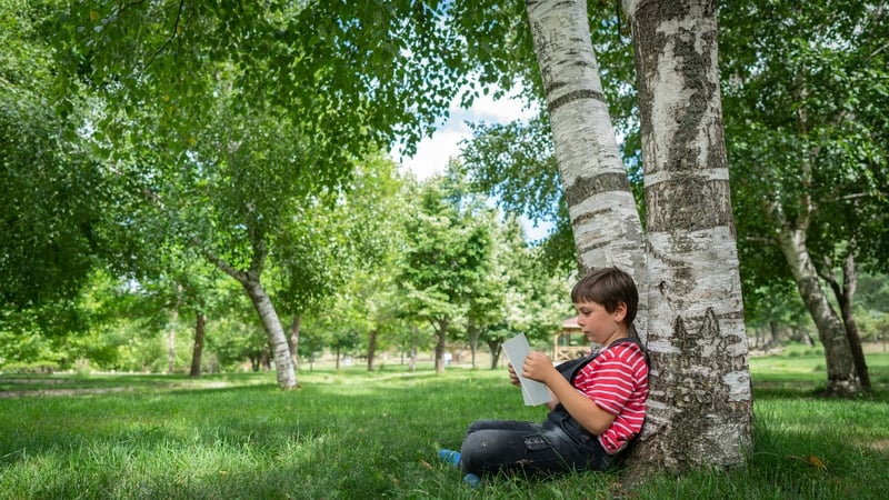 Pick up a book for a sunny evening of reading!