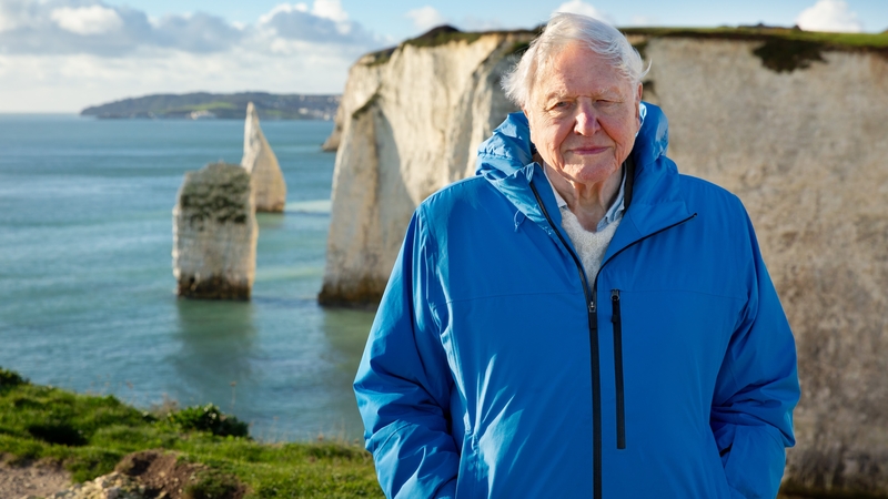 The release of Ocean with David Attenborough comes ahead of the United Nations Ocean Conference in Nice in June where it is hoped more countries will ratify a 2023 agreement to protect ocean biodiversity