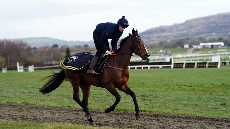 Hewick will look to go one better in the French Champion Hurdle