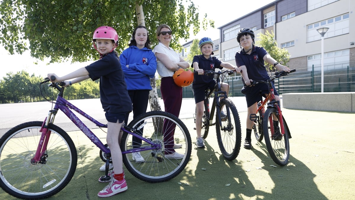 Máirtín Ó Cualáin, Múinteoir Tacaíochta Foghlama i Scoil Bhríde.