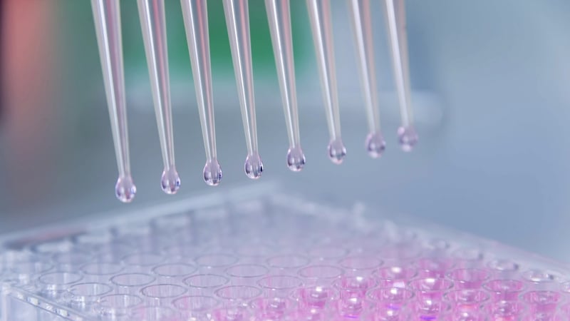 Bowel cancer is the second leading cause of cancer deaths worldwide and affects over 2,500 people here every year