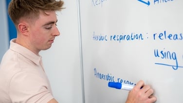 Study Hub 2025: Leaving Cert Biology Exam Tips