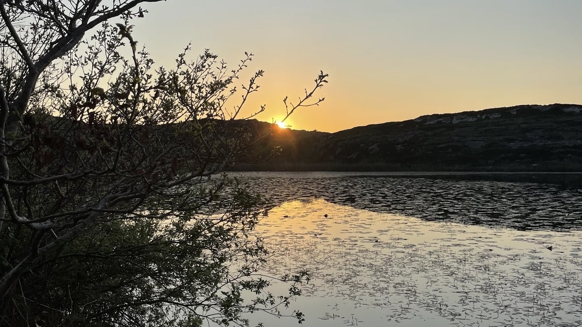 Ambient Orbit Monday 5 May 2025