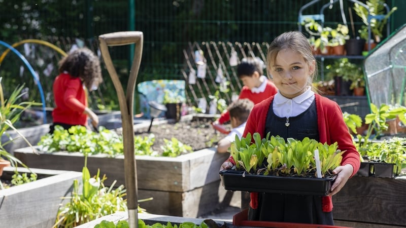 Now in its 27th year, the Green Schools Programme, which is organised by An Taisce