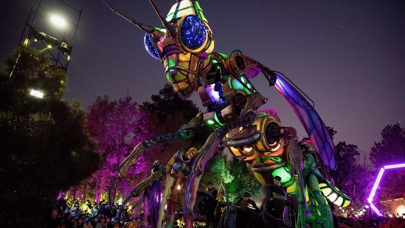 Microcosmos takes to the streets of Galway for this year's Arts Festival