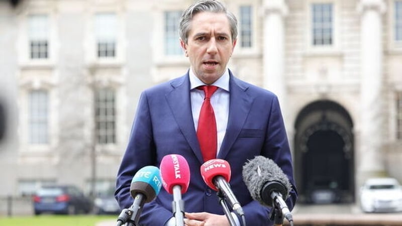 The Tánaiste is due to meet Senator Frances Black to present a timeline to enact the Government's version of the Occupied Territories Bill