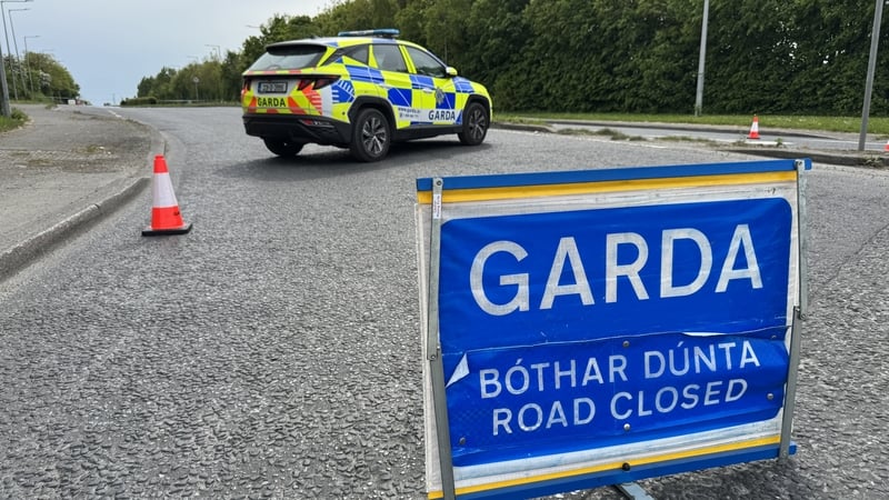 The garda was knocked down and killed in north county Dublin while carrying out a speeding checkpoint