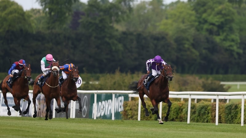 Delacroix's potent acceleration burned of his rivals at Leopardstown