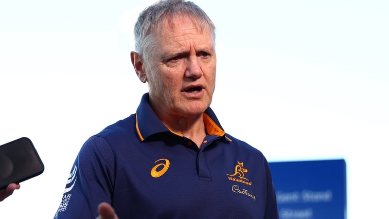 Joe Schmidt: 'We don't want to discount anyone because we'd love to pick a form squad'