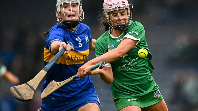 On Thursday week, 22 May, in Croke Park the Camogie Association will hold its Special Congress