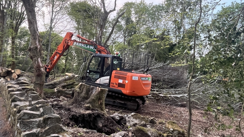 Efforts to move, cut and clear debris are presently ongoing at several wooded areas that are managed by the local authority