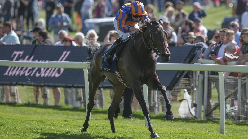 Whirl made significant improvement from her seasonal debut and the step up in trip to score on the Knavesmire