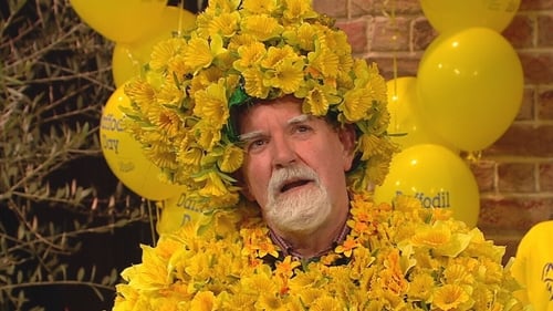 James Gilleran appeared on the Late Late Show dressed in daffodils in 2021