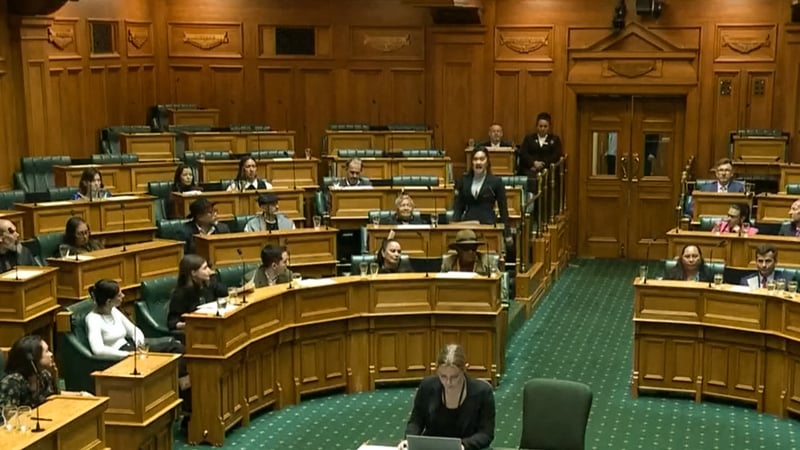 Hana-Rawhiti Maipi-Clarke ripped up the Treaty Principles Bill in November last year