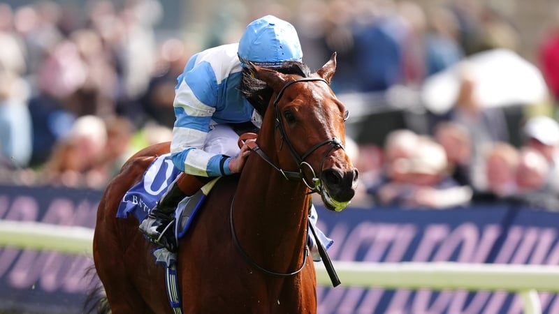 Pride of Arras was an 18-1 winner in York