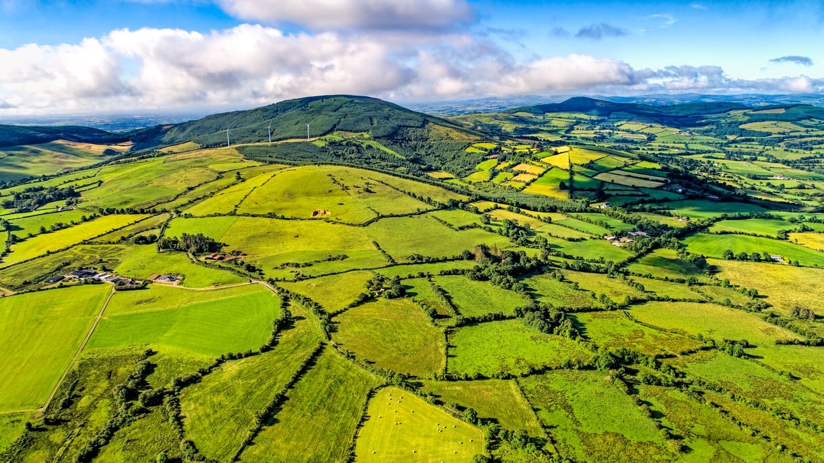 Nature Restoration Plan 