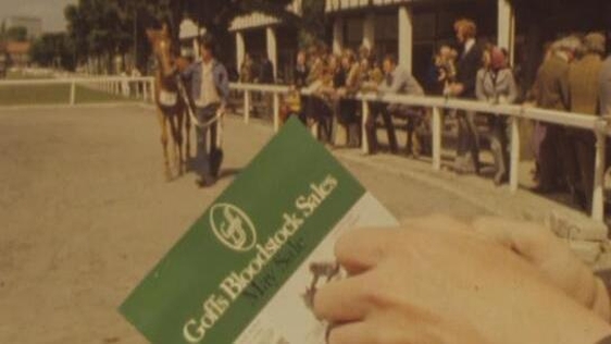 Goffs Bloodstock Sales, RDS (1975)