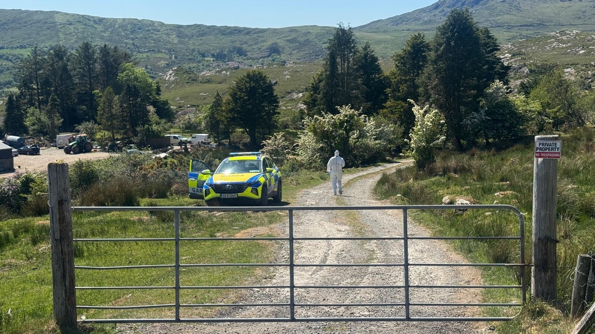 Man arrested in connection with the disappearance of Michael Gaine 