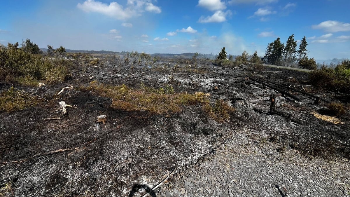 Impact of dry weather on bog fires