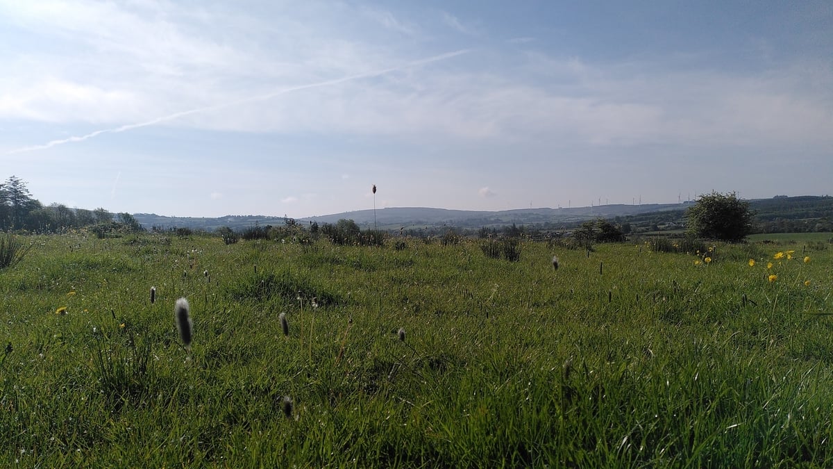 Ambient Orbit Monday 19 May 2025