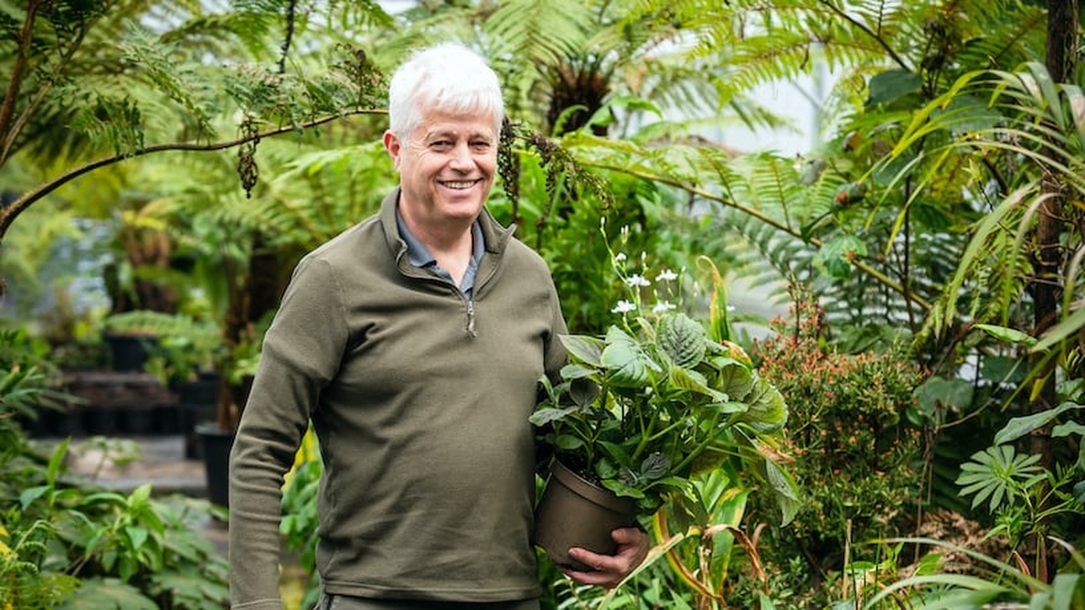 Third goal medal win for Irish gardener's ferns collection