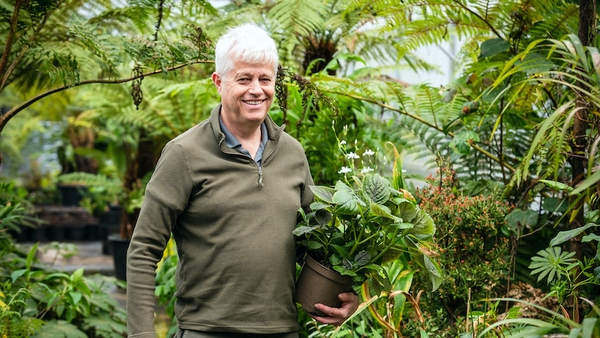 Billy Alexander won his third gold medal at this year's Chelsea Flower Show