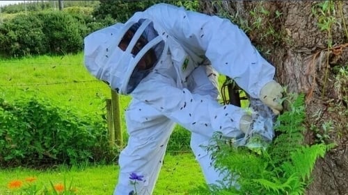 Teams from Ireland, France, Poland, Portugal and Sweden are taking part in the research