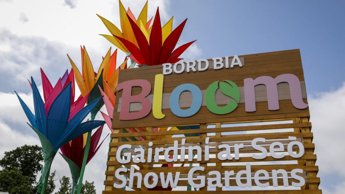 Countrywide Bloom Special