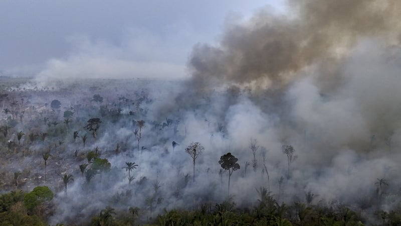 Aerial view of a fire in the Amazon rainforest in September 2024