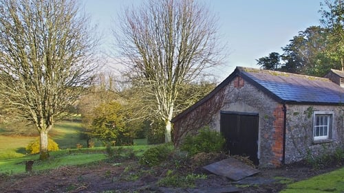 Director of Services Tom Gilligan said his aim is to get 'under-utilised, vacant, empty homes back into use' (Stock image)