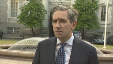 IDF soldiers responsible for firing near delegation must be 'held to account' - Harris