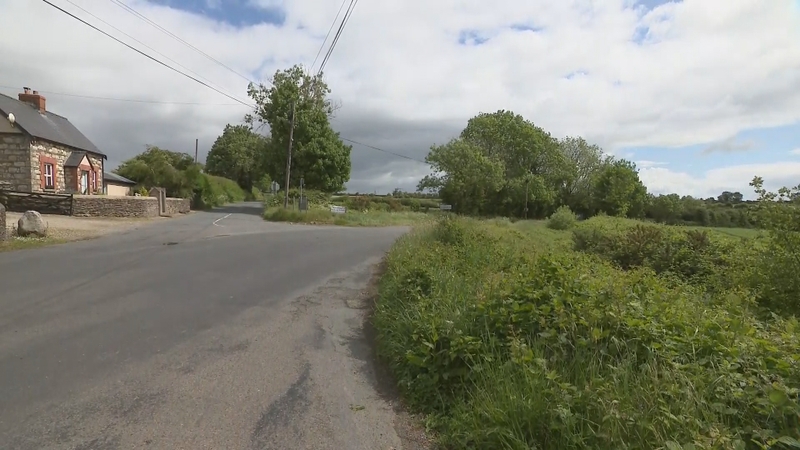 A pedestrian aged in her late 20s died after she was struck by a car in Enniscorthy