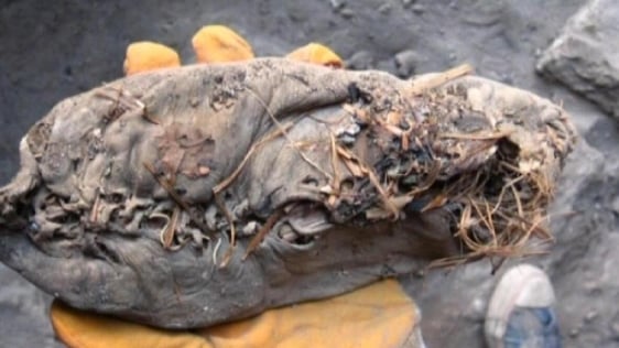 5,500 year old shoe found in Armenia (2010)