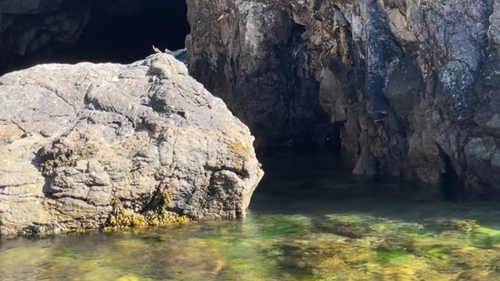 Ambient Orbit broadcasts live from the Dunmore Caves as part of this year's Kilkenny Arts Festival